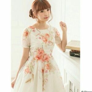 Secret Honey Disney Beauty and the Beast Belle Celebration Casual Dress Gown